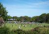 SouthMarinePark4